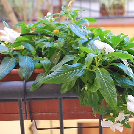 Apartment Casa Francesca Syracuse Екстер'єр фото