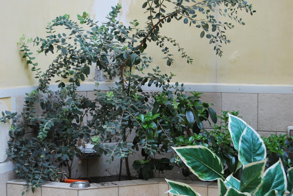 Apartment Casa Francesca Syracuse Екстер'єр фото
